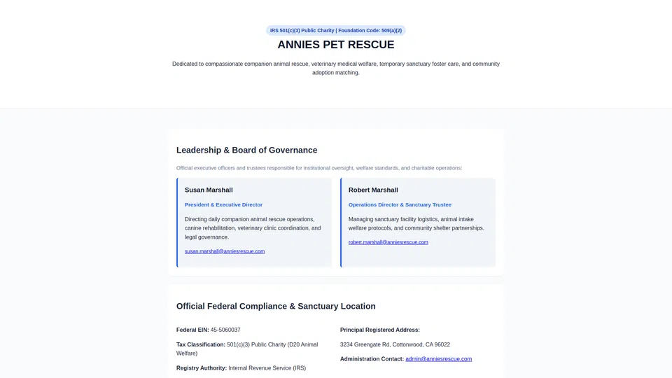 Homepage snapshot at launch