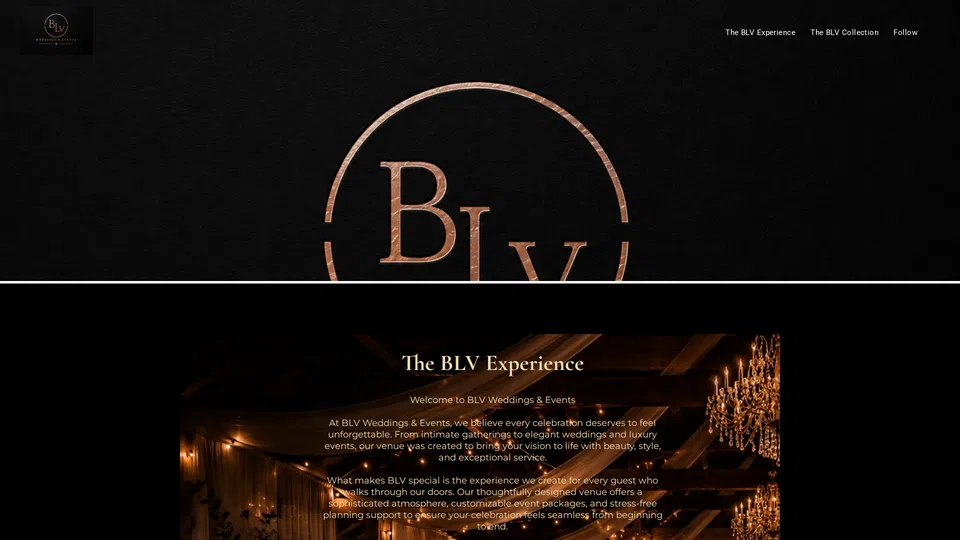 Homepage snapshot at launch