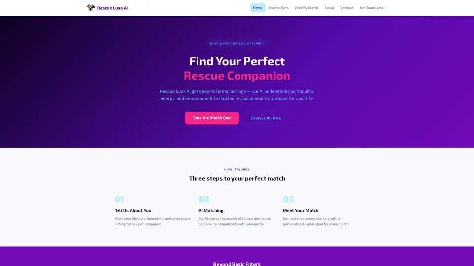 Homepage snapshot at launch