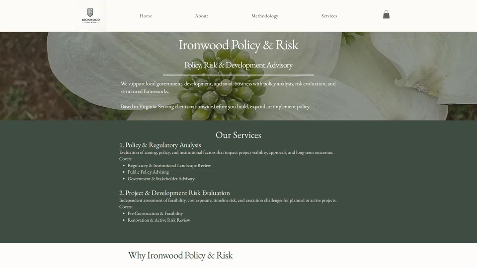 Homepage snapshot at launch