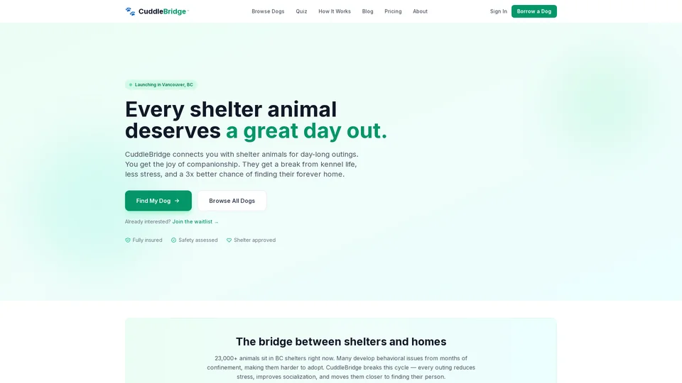 Homepage snapshot at launch