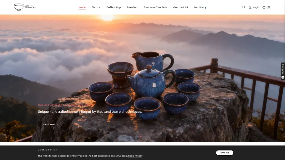 Homepage snapshot at launch