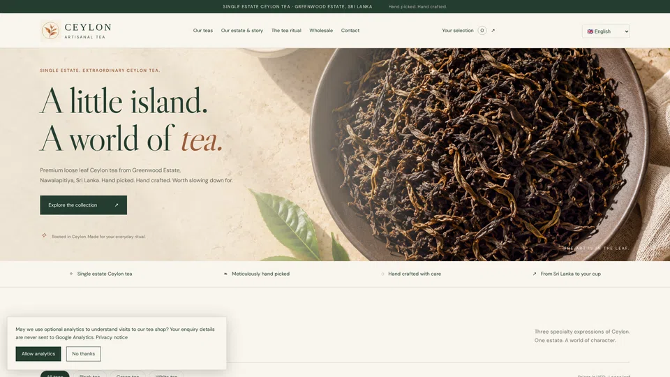 Homepage snapshot at launch