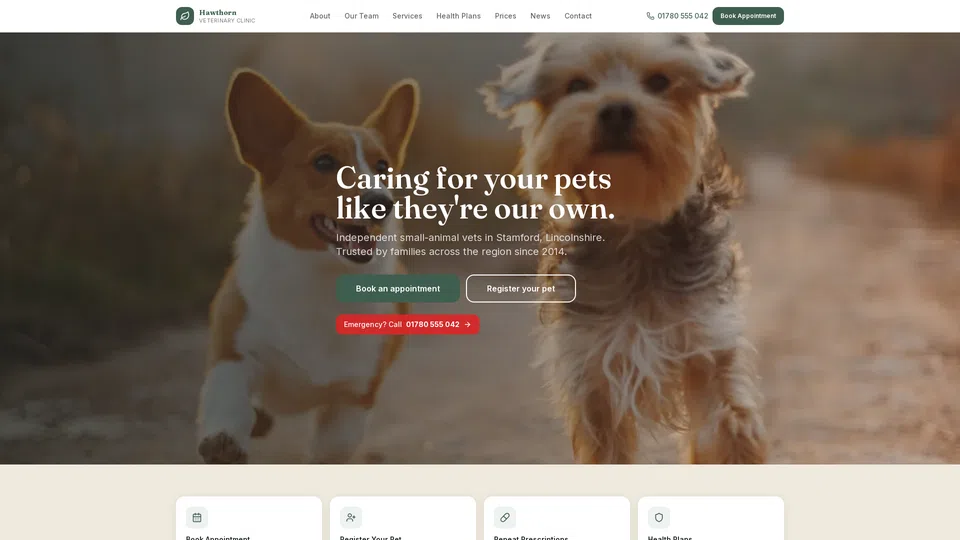Homepage snapshot at launch