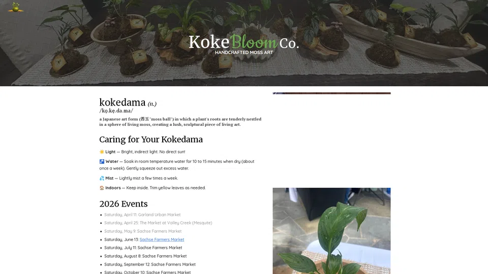 Homepage snapshot at launch