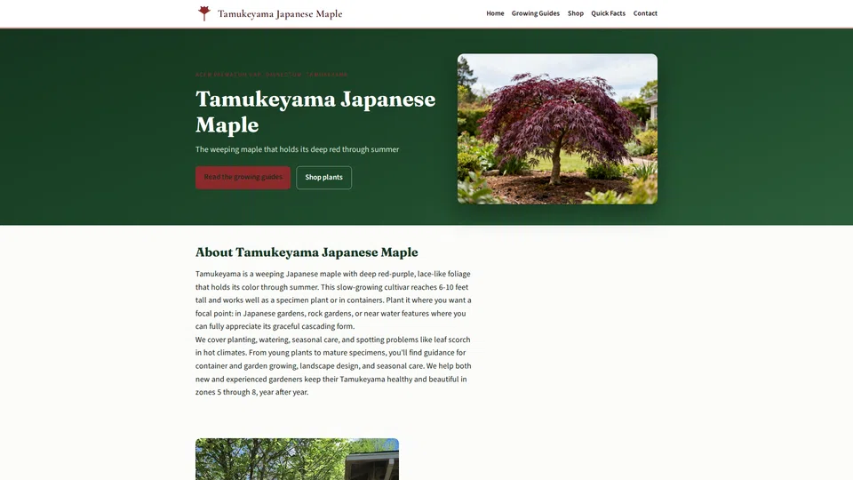 Homepage snapshot at launch