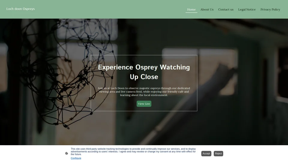 Homepage snapshot at launch