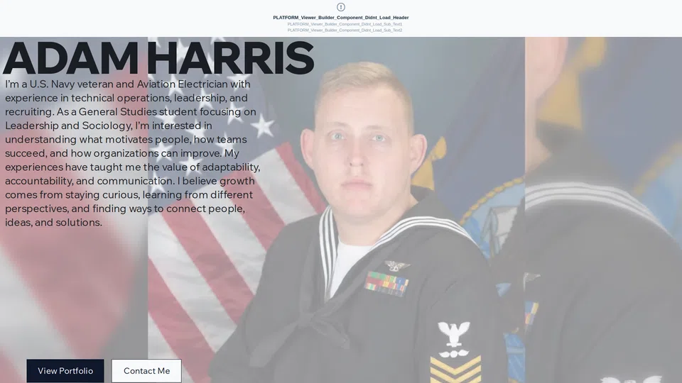 Homepage snapshot at launch