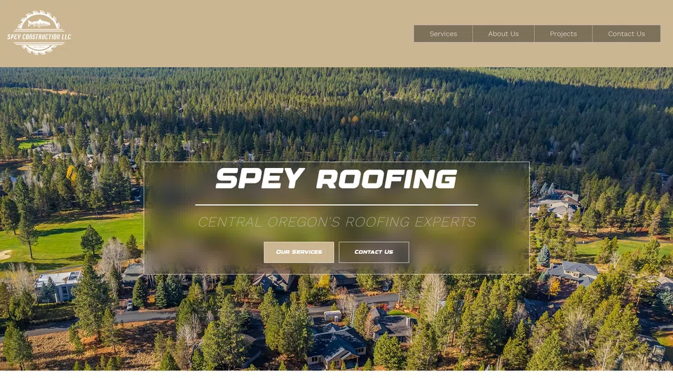 Homepage snapshot at launch