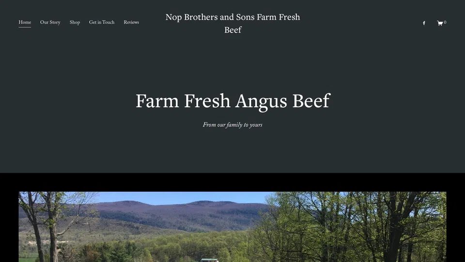 Homepage snapshot at launch
