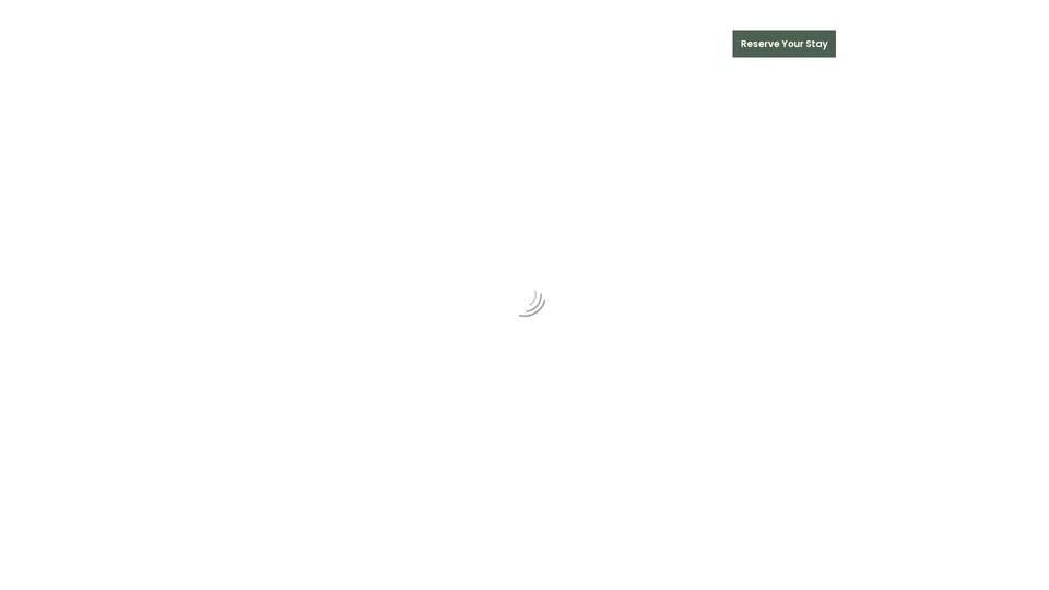 Homepage snapshot at launch
