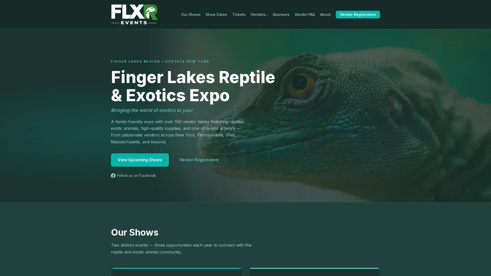 Homepage snapshot at launch
