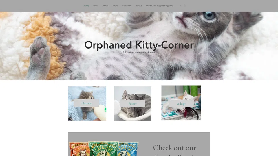 Homepage snapshot at launch