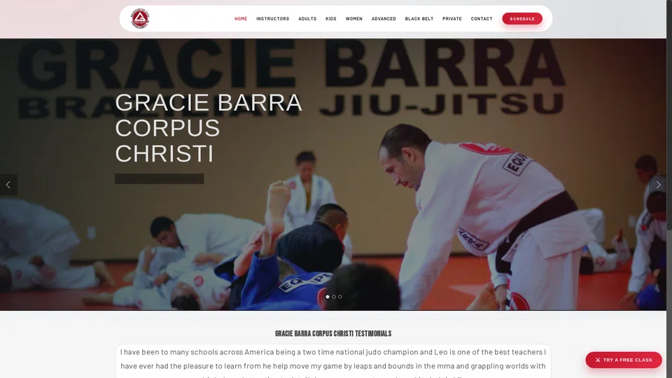 Homepage snapshot at launch