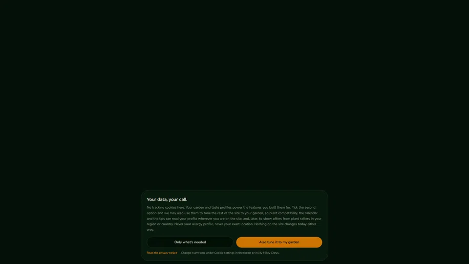 Homepage snapshot at launch
