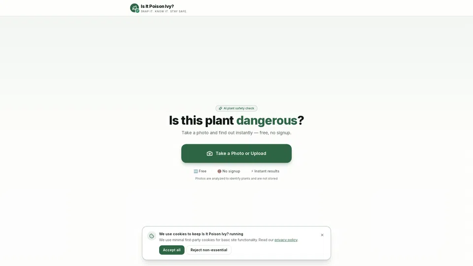 Homepage snapshot at launch