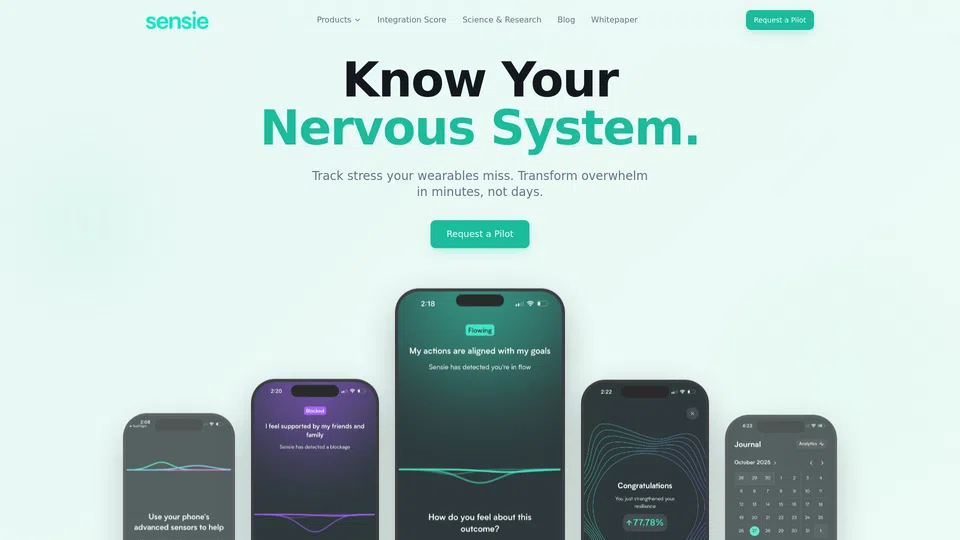 Homepage snapshot at launch