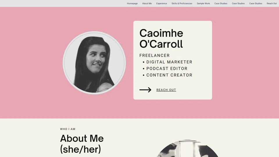 Homepage snapshot at launch