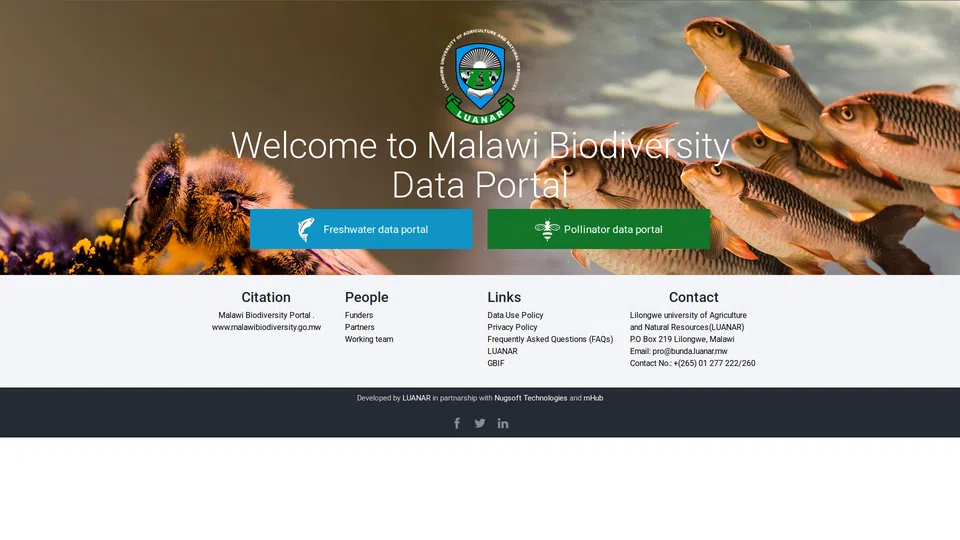 Homepage snapshot at launch