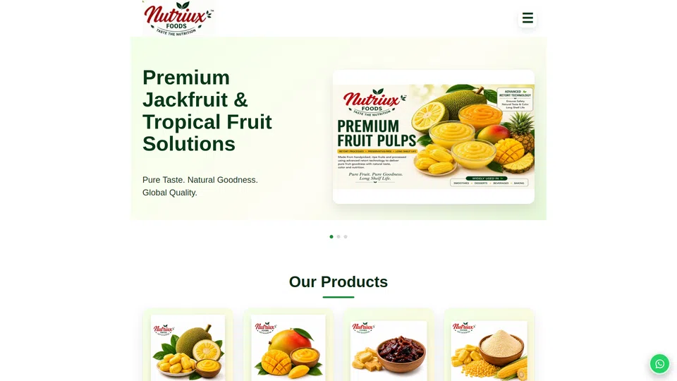 Homepage snapshot at launch