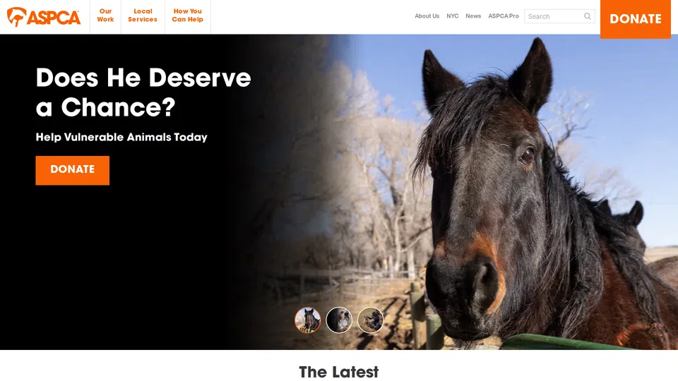 Homepage snapshot at launch