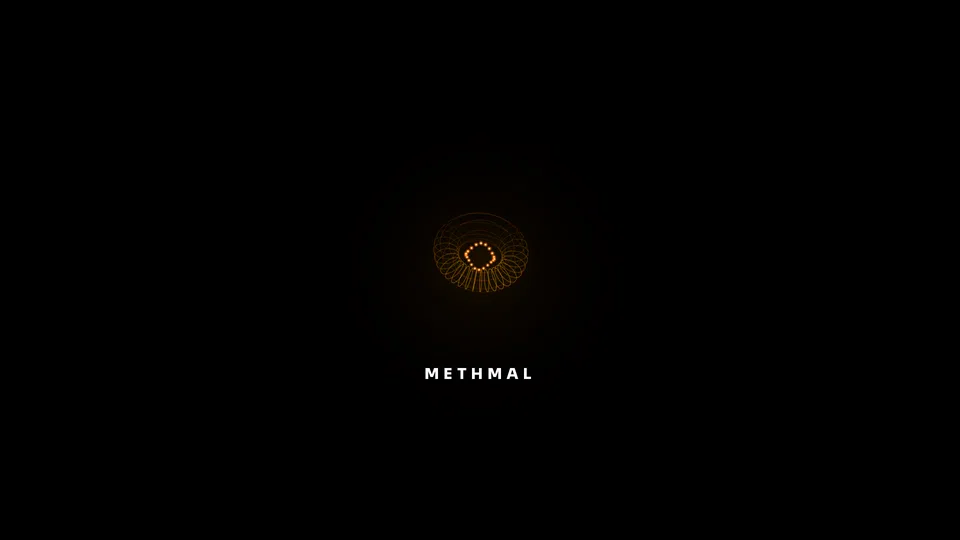 Homepage snapshot at launch