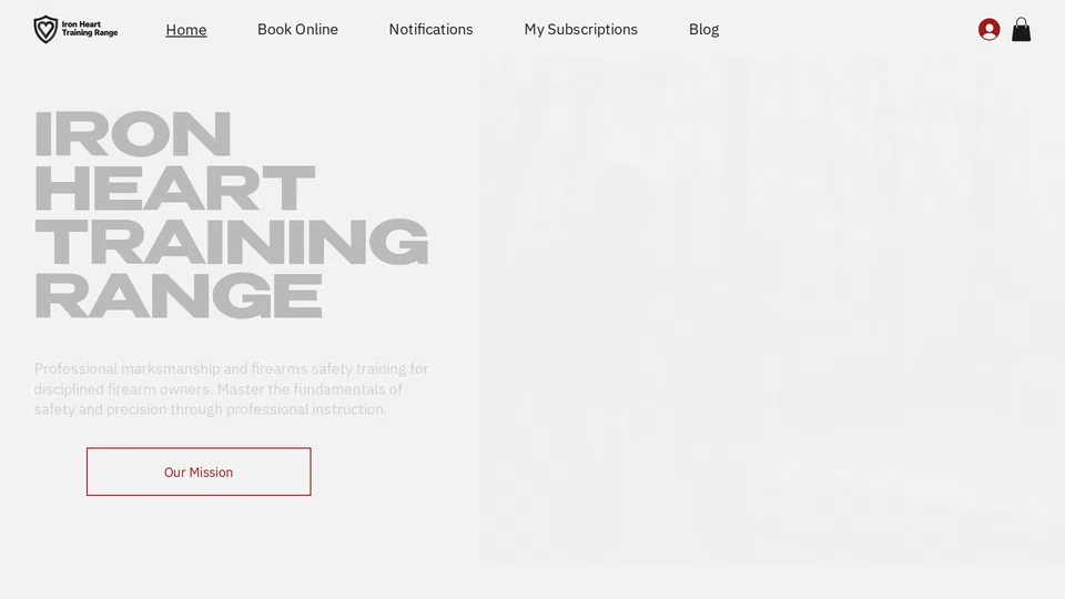 Homepage snapshot at launch