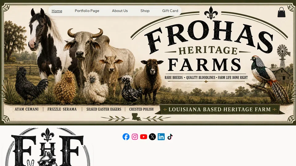 Homepage snapshot at launch