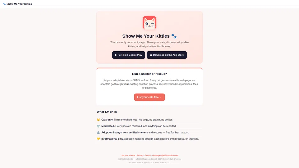 Homepage snapshot at launch