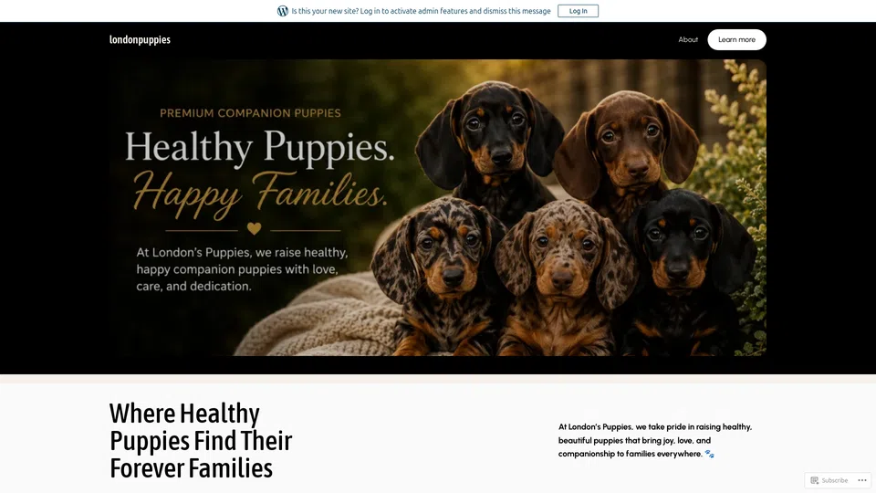 Homepage snapshot at launch