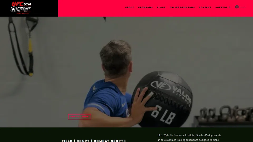 Homepage snapshot at launch