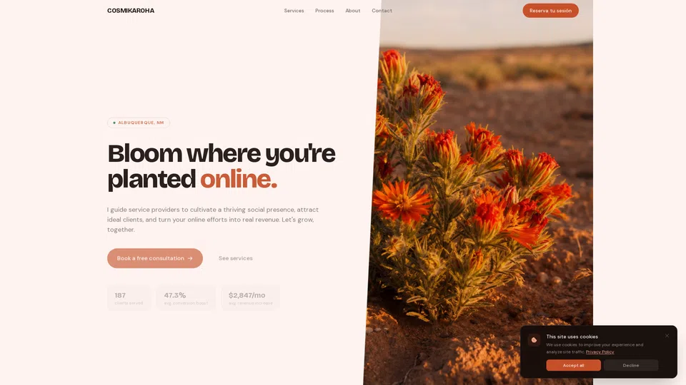 Homepage snapshot at launch