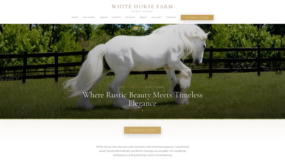Homepage snapshot at launch