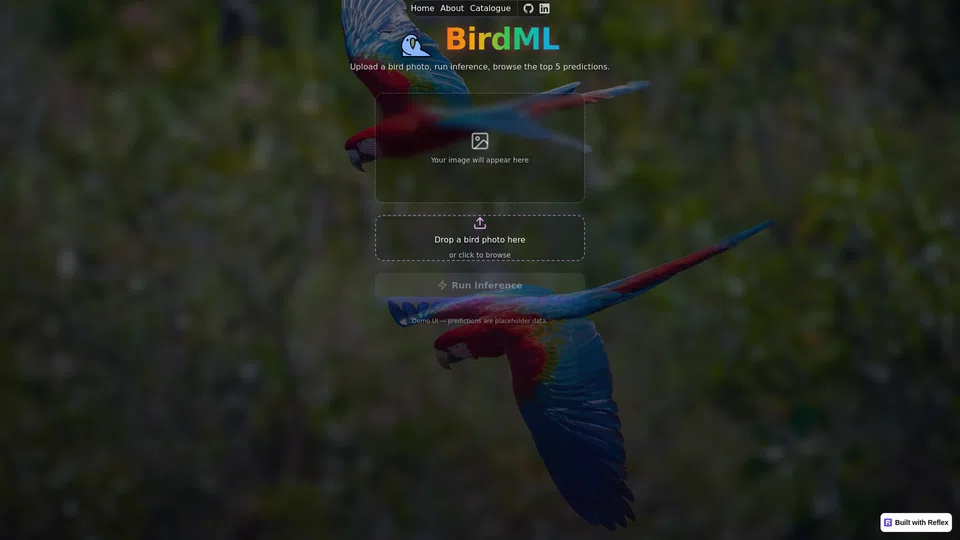 Homepage snapshot at launch