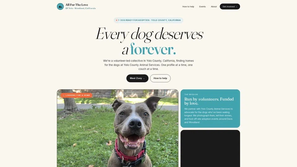Homepage snapshot at launch