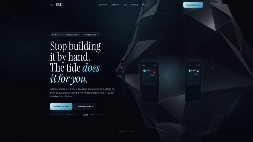 Homepage snapshot at launch
