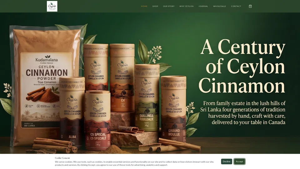 Homepage snapshot at launch