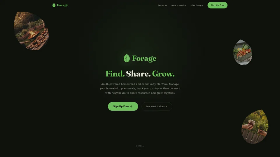 Homepage snapshot at launch