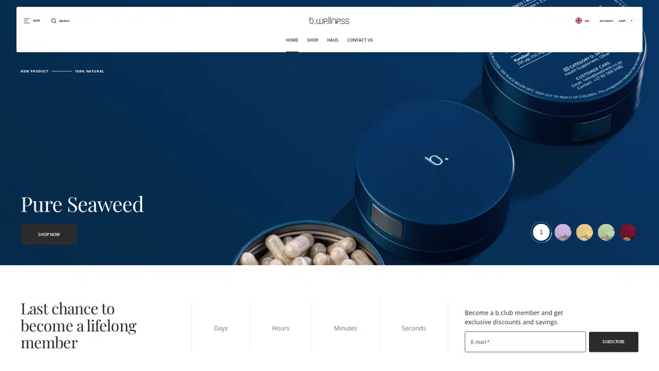 Homepage snapshot at launch
