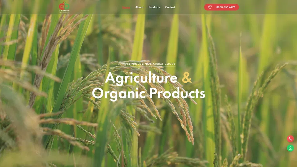 Homepage snapshot at launch
