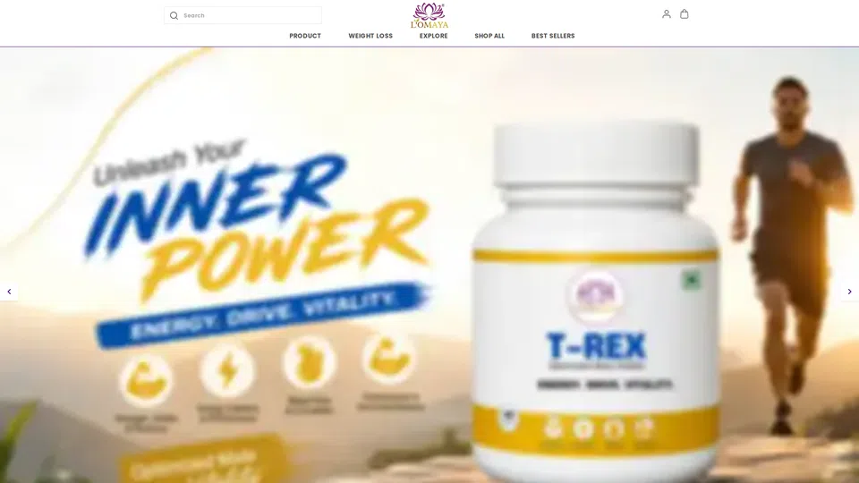 Homepage snapshot at launch