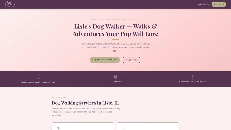 Homepage snapshot at launch