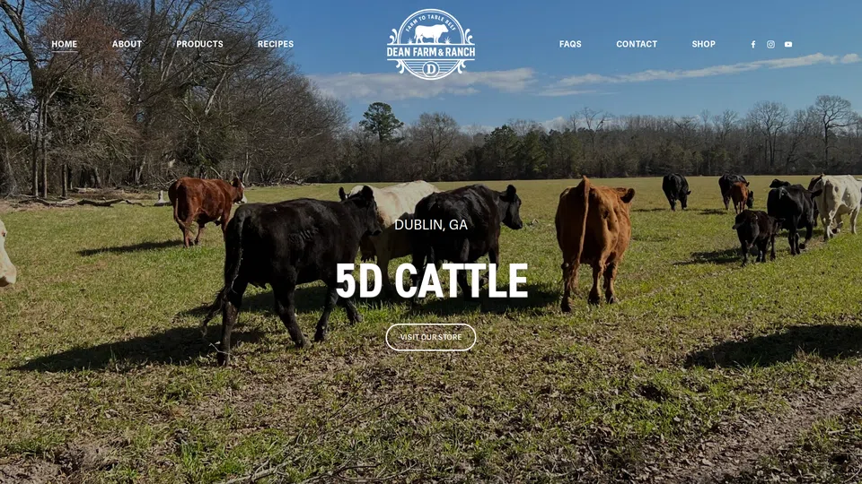 Homepage snapshot at launch