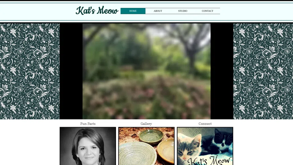 Homepage snapshot at launch