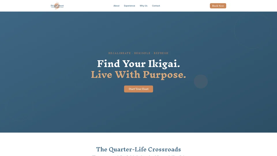 Homepage snapshot at launch