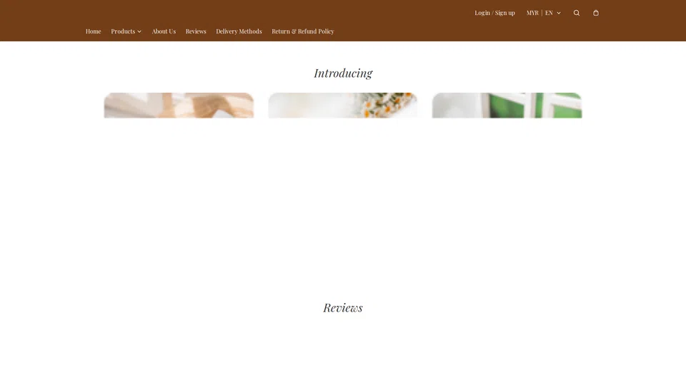 Homepage snapshot at launch