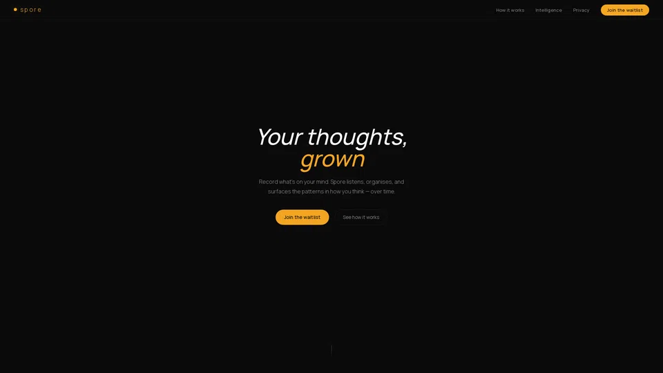 Homepage snapshot at launch