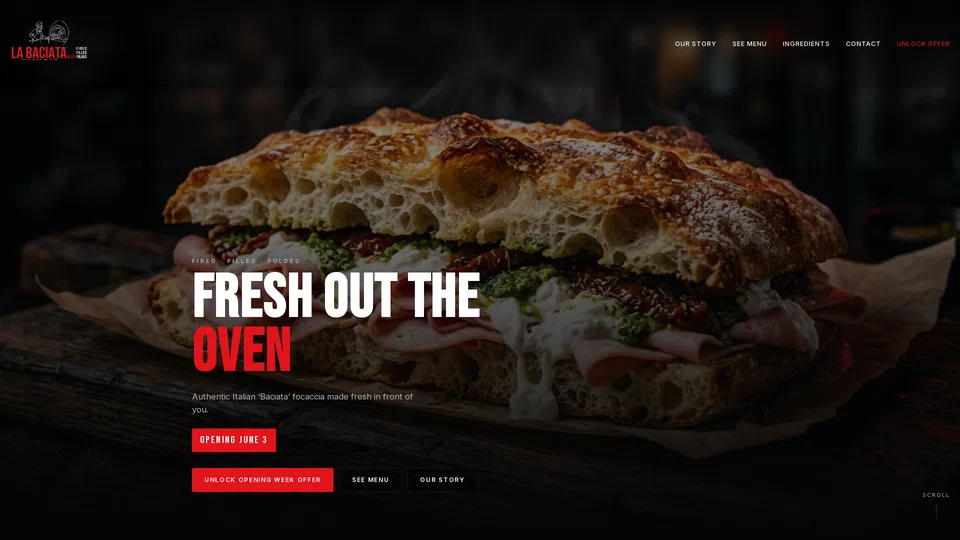 Homepage snapshot at launch