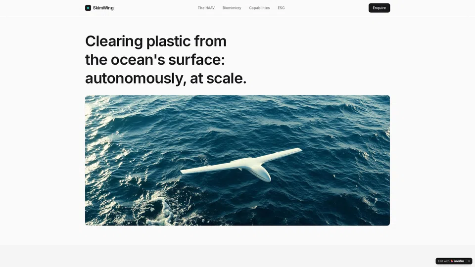 Homepage snapshot at launch