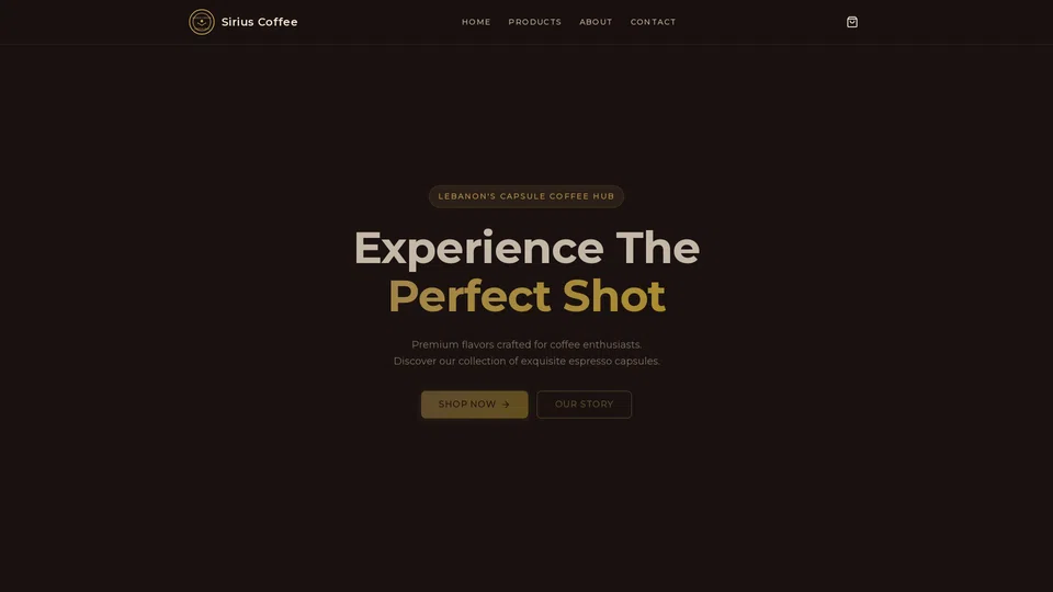 Homepage snapshot at launch